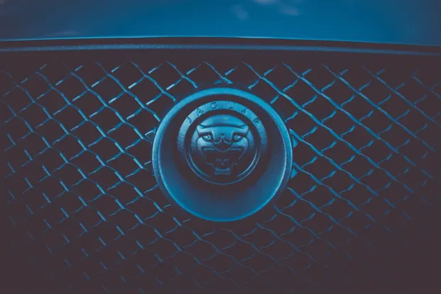 Cleopatra Cazino Cazinou Aplicație Android/iOS